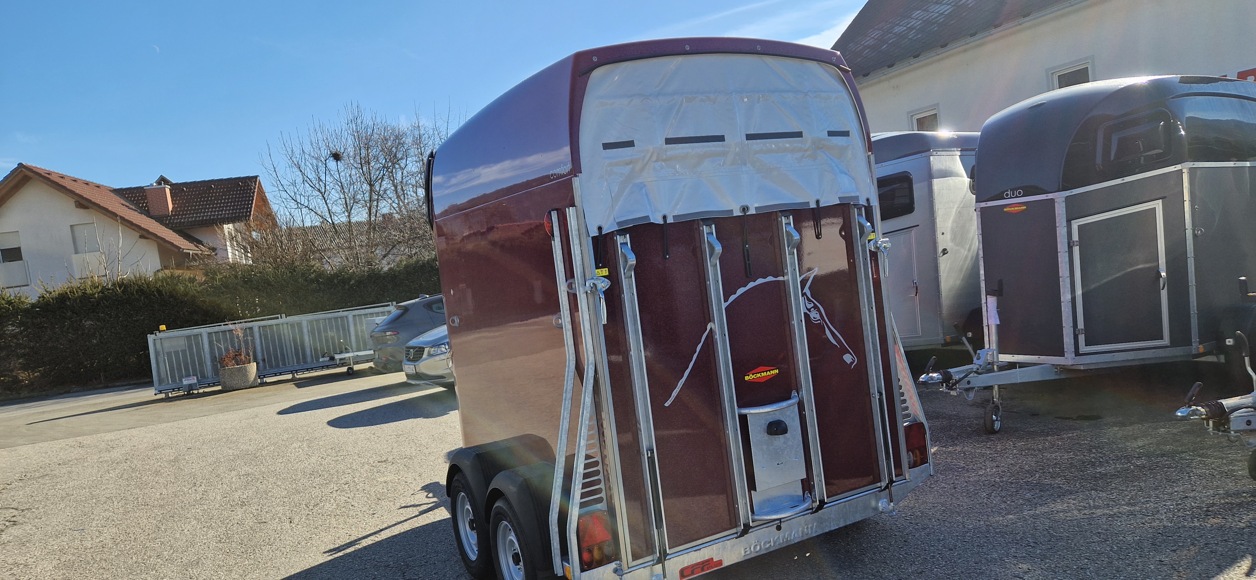 Pferdeanhänger, Böckmann Comfort, 2400 kg GG, Aufbau Poly, 2-Pferdeanhänger, Neu - Aktion